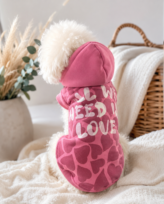 Sweetheart Matching Hoodies