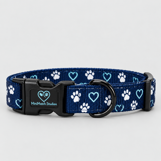 Dog Collar | Royal Elegance