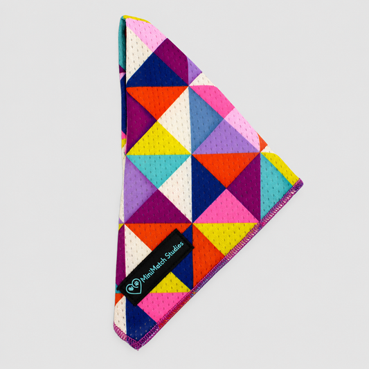 Dog Bandana | Delta Festival