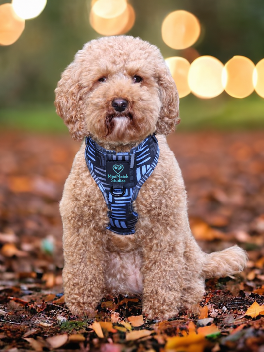 Adjustable Dog Harness | Wise Groove