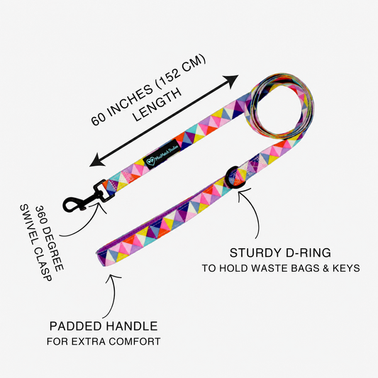 Dog Leash | Delta Festival