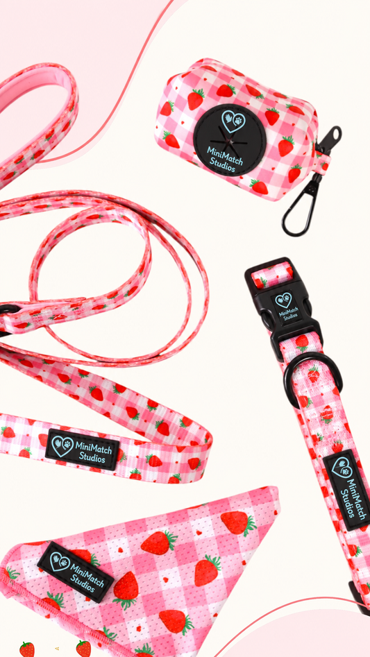 Complete Walk Set | Strawberry Jumble