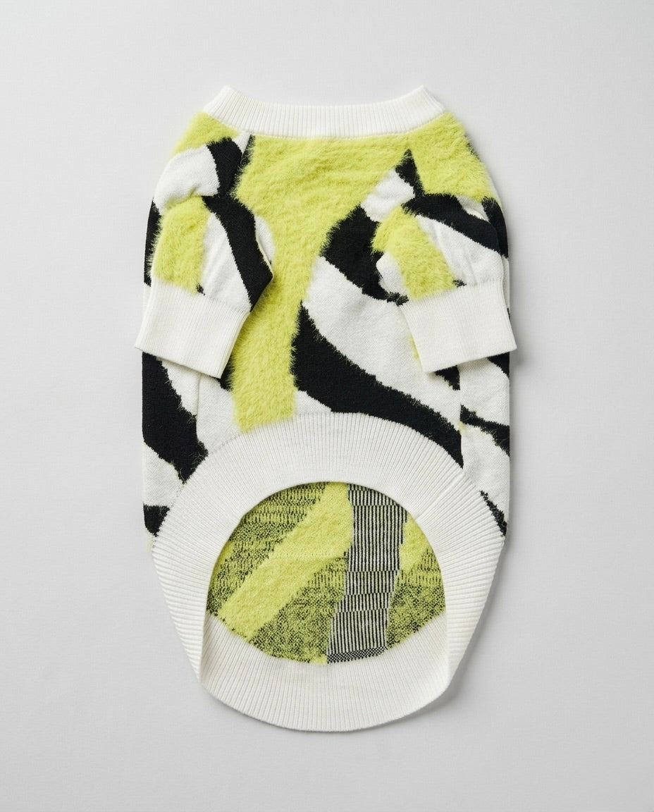 Lime Twist Zebra Dog Sweater