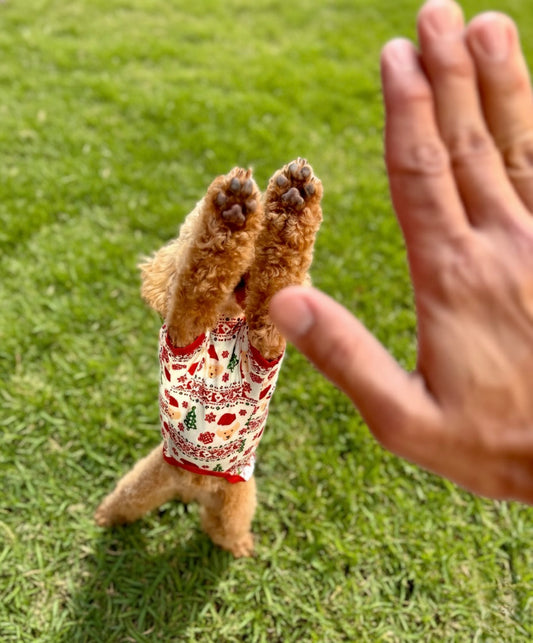 Furristmas Dog Shirt