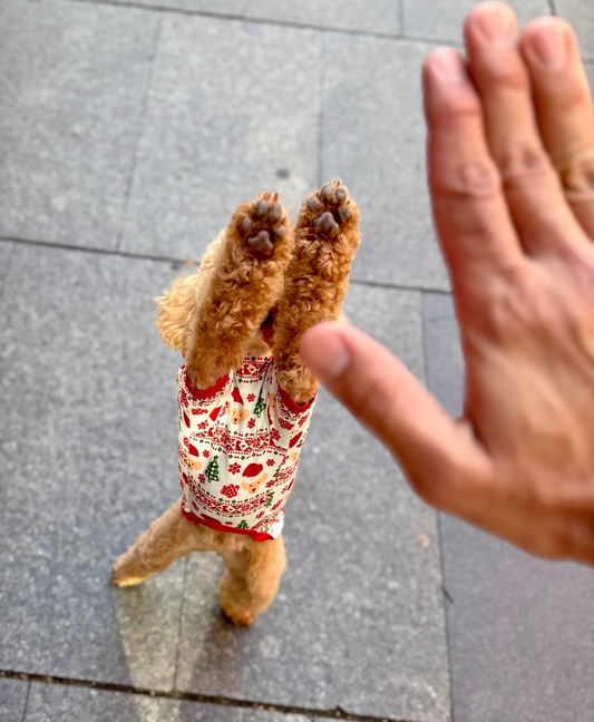 Furristmas Dog Shirt