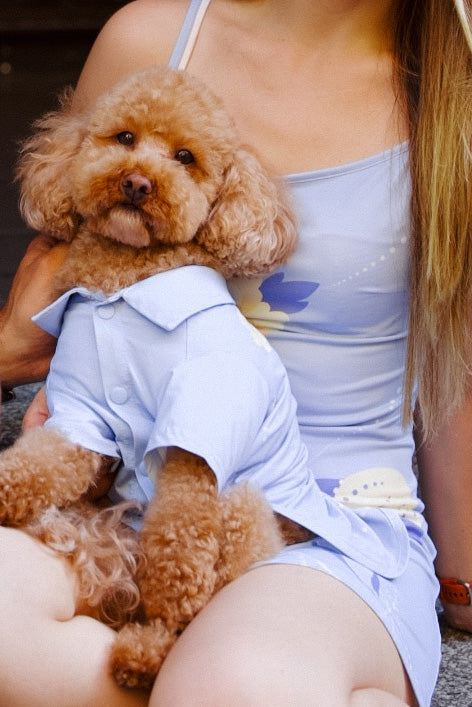 Oceano Dog Button Down