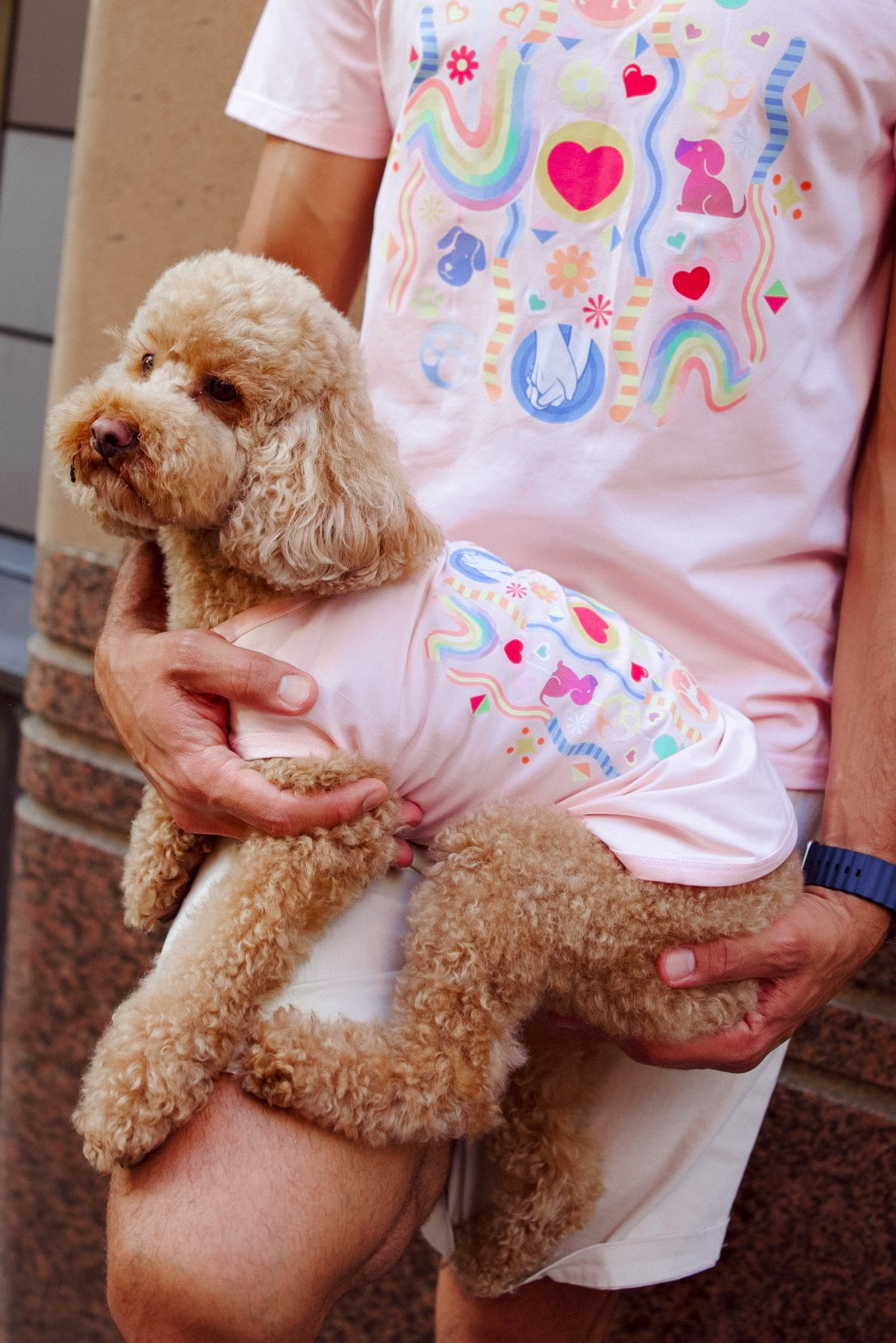 Rainboof Dog Tee