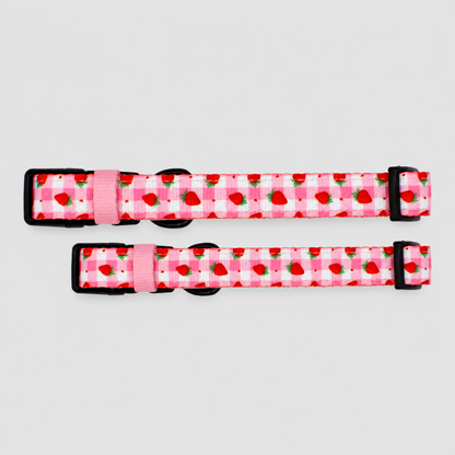 Dog Collar | Strawberry Jumble
