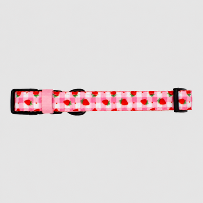 Dog Collar | Strawberry Jumble