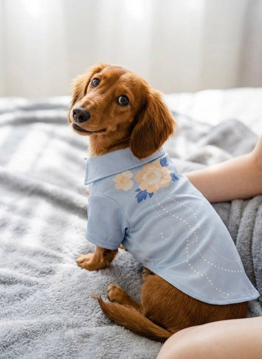 Oceano Dog Button Down