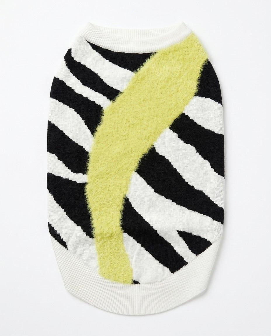 Lime Twist Zebra Dog Sweater