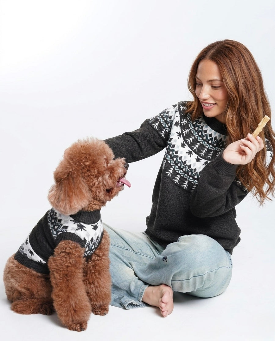 Nordic Matching Sweater
