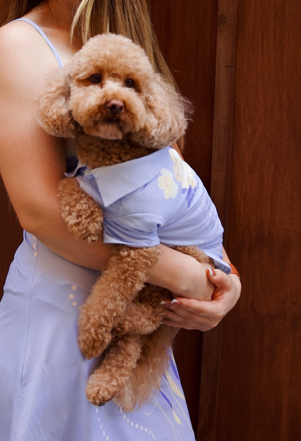 Oceano Dog Button Down